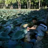 haanhquan09