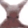 vxtthii