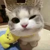 ngocanh_1413