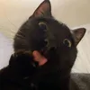 hera_buenaobra