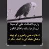 mswn12345