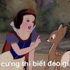 nysugar