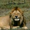 mussh7
