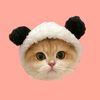 wangdee_19