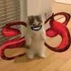 laliyo8