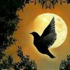landimaree7