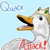 duckyquackhaha