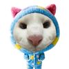 herdysk1
