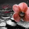 iqm03