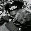 sg14__0