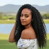 elainearaujonovais