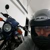 mojogs647
