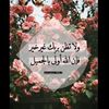shamsmamdouh885