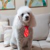 maxyelpoodle