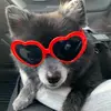 beckysgrooming