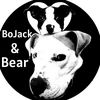 bojackandbear
