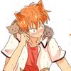 kyoshrimpai