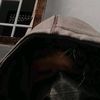 fanny__017