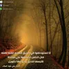 basm317t