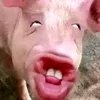 concec.all.com