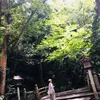 user4xf91afioo