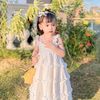 Enzy aradea