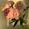 hoawhitlove