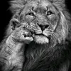user9s6s08nknn