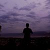 aupp_529