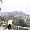 chipheo68886