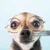quanghuy258