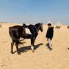 mohamed__o5