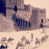 moheebjammal
