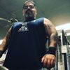 silver_chin_gorilla