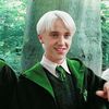 dracomalfoyfan243