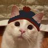 lemon_list