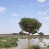 ebadialqarni