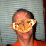 hooterstomkat