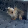 ssuiwowmneee