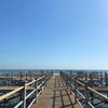 noni_3166