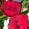 ortizar_16