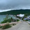 toitenhong66