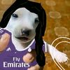 gis_.arge
