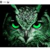 greeneagleowl