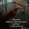 usernay8gqq18l