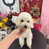 sonhuynh2408