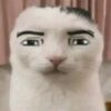 gusmang_75