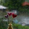 arwa.muhammed527