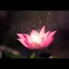 hoangtuyet61174