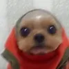 kvncabarnes
